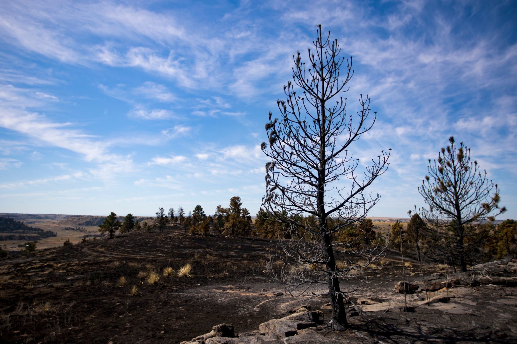 Mountain View fire